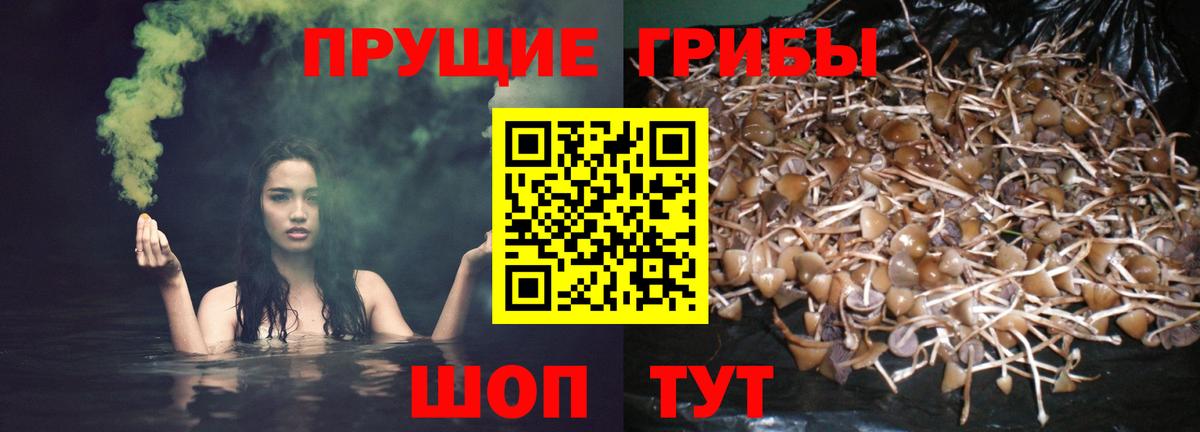 Псилоцибиновые грибы прущие грибы Пыть-Ях